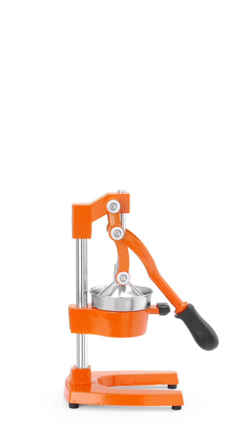 Lis na citrusy, Bar up, 225x180x(H)510mm