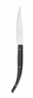 Steakový nůž, řada STEAK BASIC, Arcos, STEAK BASIC, Černá, (L)230mm