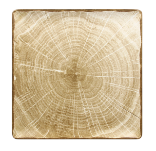 RAK Woodart talíř čtvercový 30 × 30 cm – mechově zelená | RAK-WDEDSQ30MG