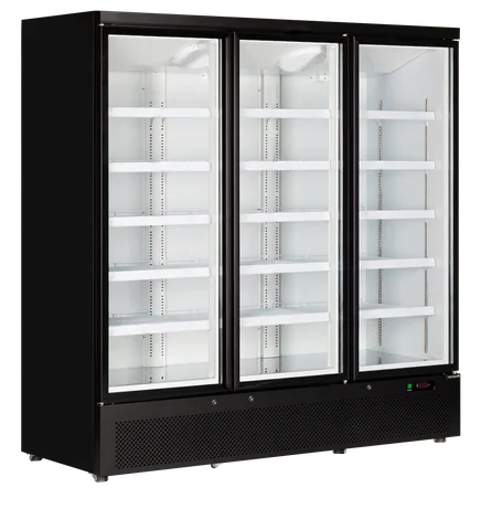 TEFCOLD - chladicí skříň prosklené křídlové dveře Atom Maxi C3DB