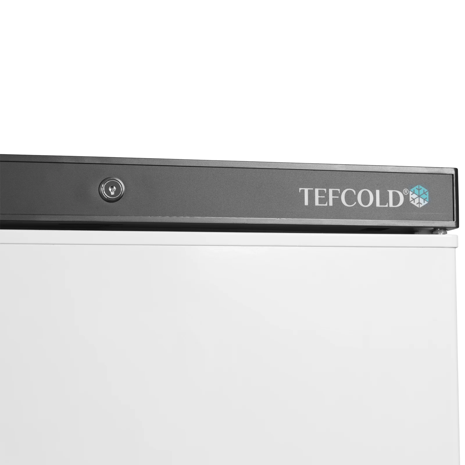 TEFCOLD - mrazicí skříň plné dveře, bílá UF 200 V